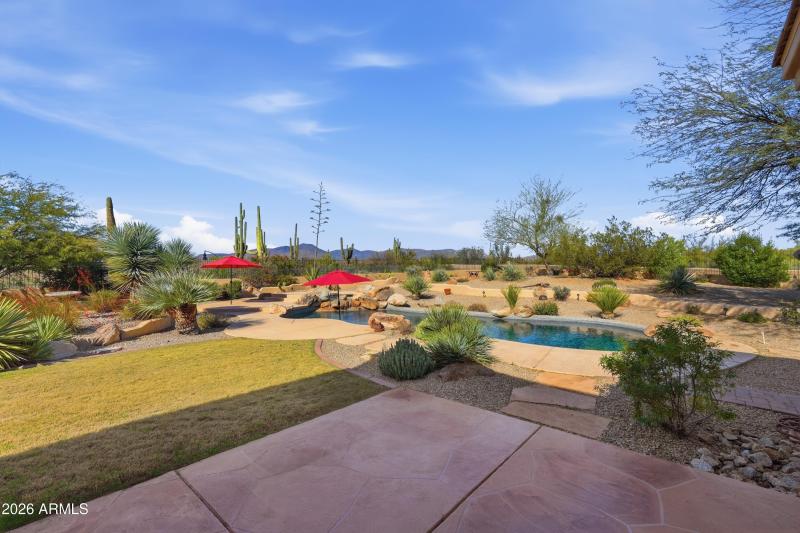 Desert & Mountain Views