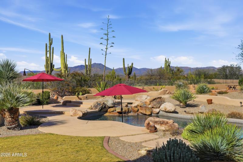 Desert & Mountain Views