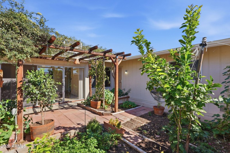 gorgeous back yard