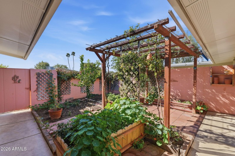 back yard