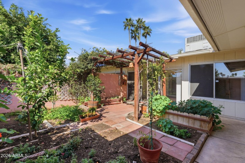 back yard