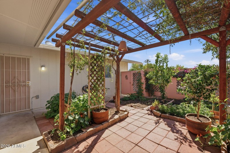 back yard