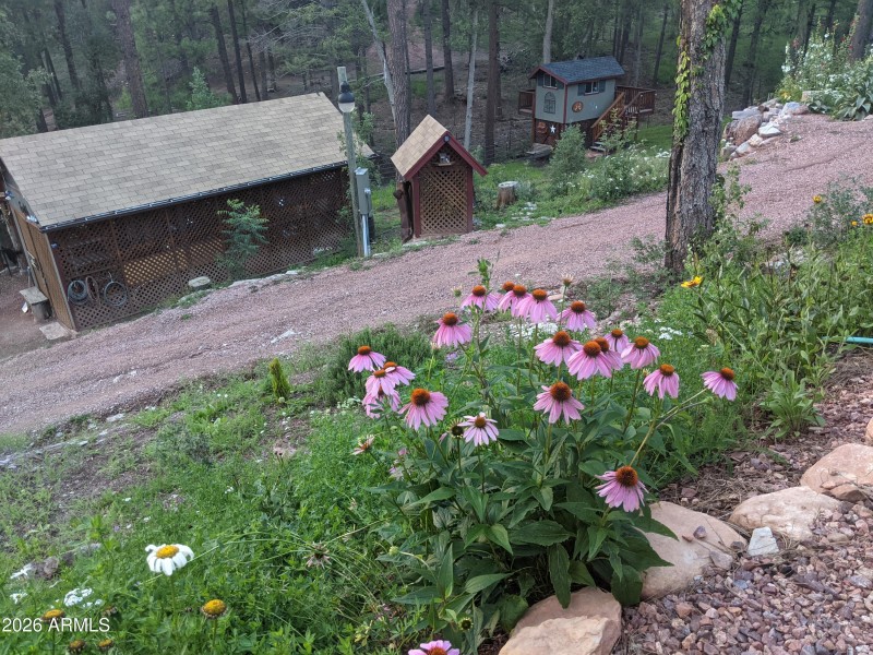 PXL_20210812_012854111