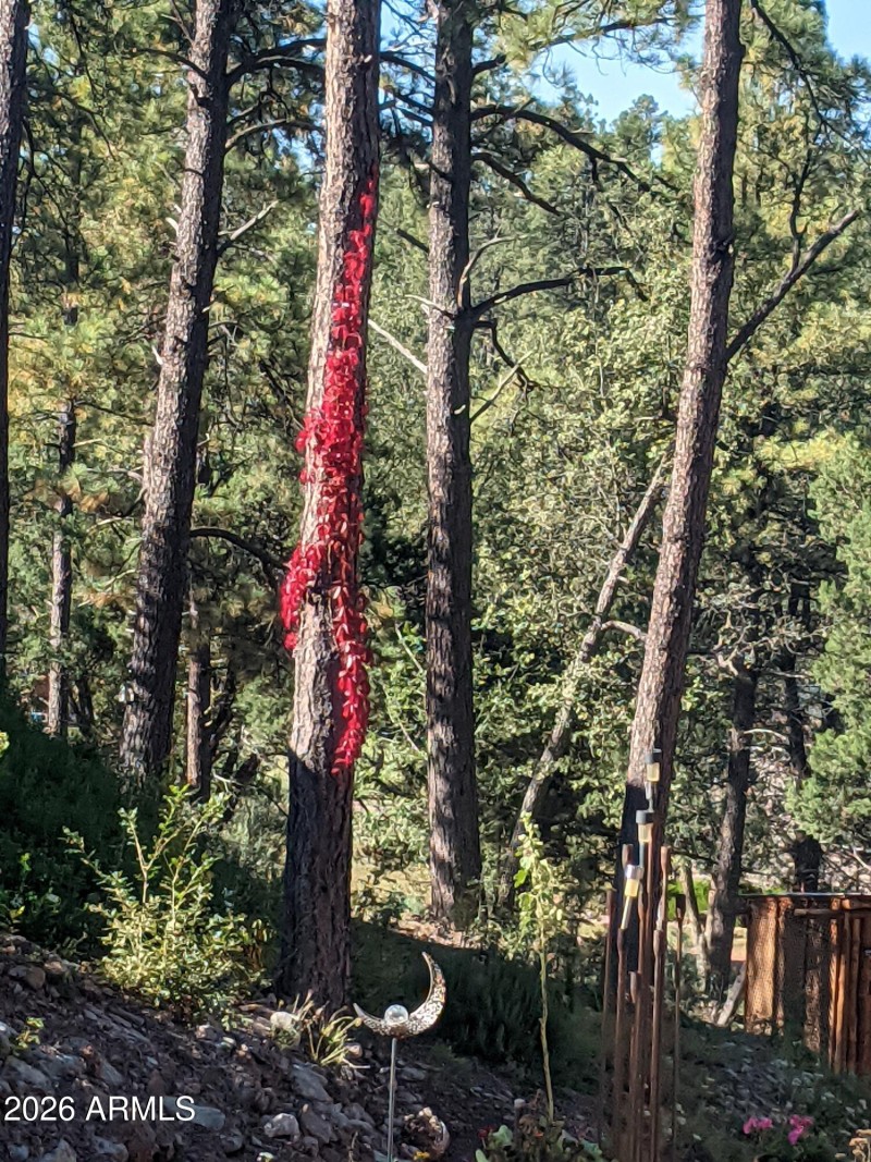 PXL_20211011_161819460