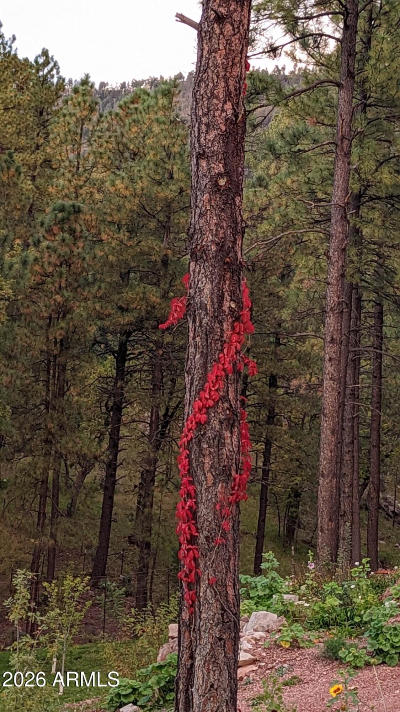 PXL_20221017_004438064