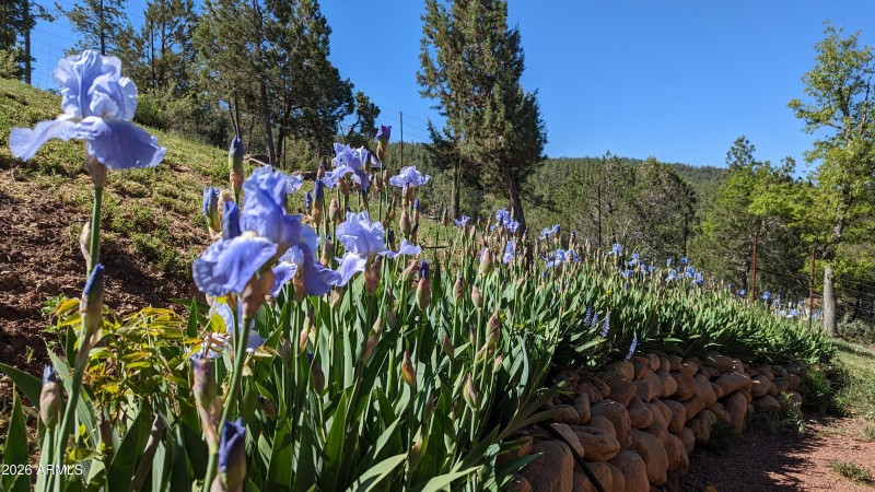 PXL_20230530_155821728