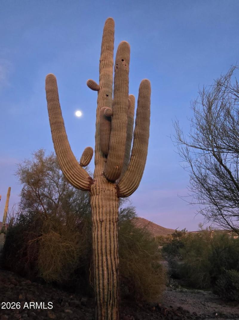 6601 E Willow Springs Ln N