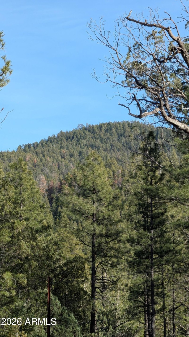 PXL_20260224_231137550