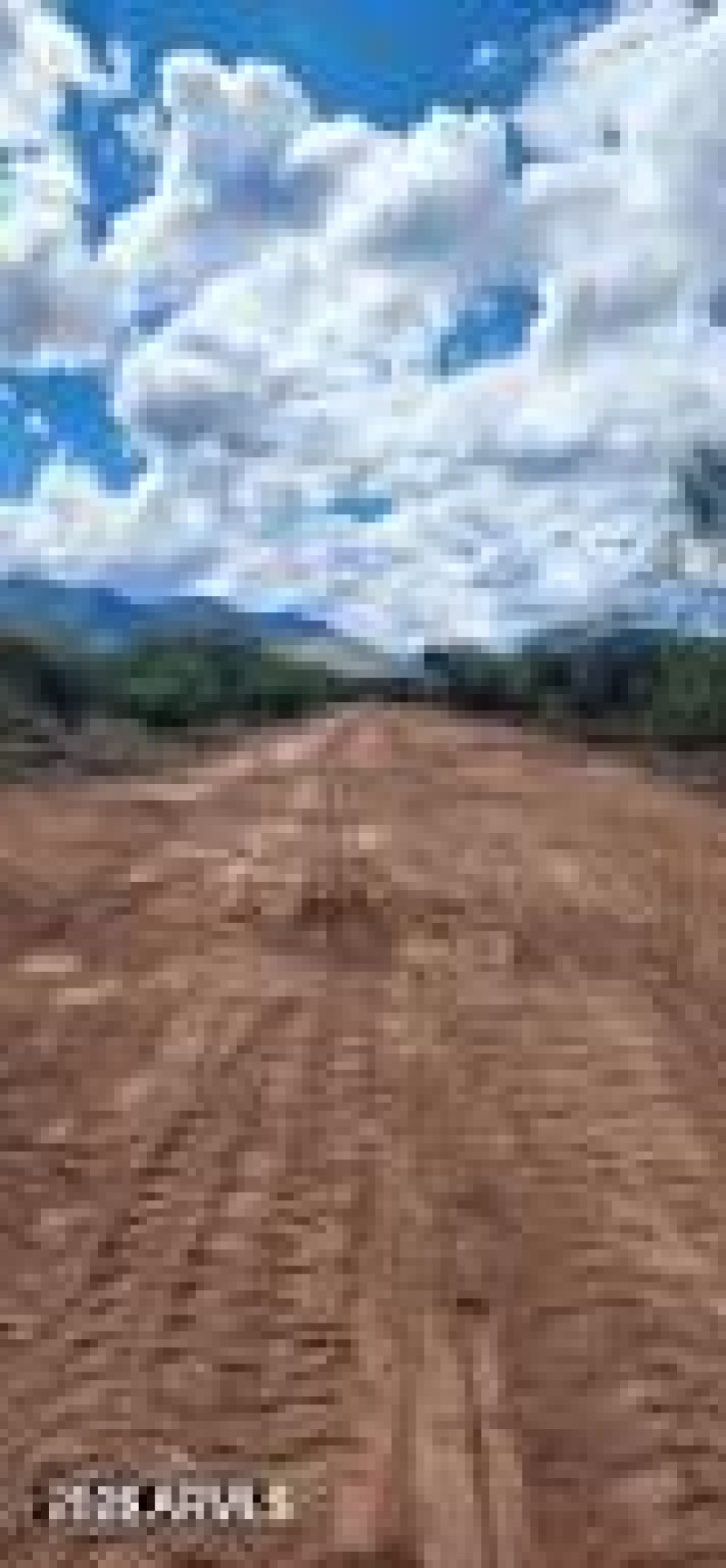 20260303153836362352000000 6