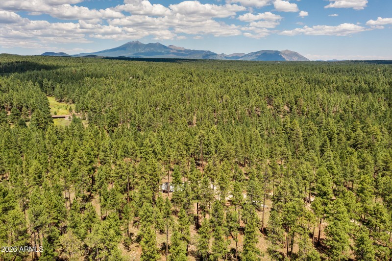 3456 Laurie Ln. 11606015 Vacant Lot-10