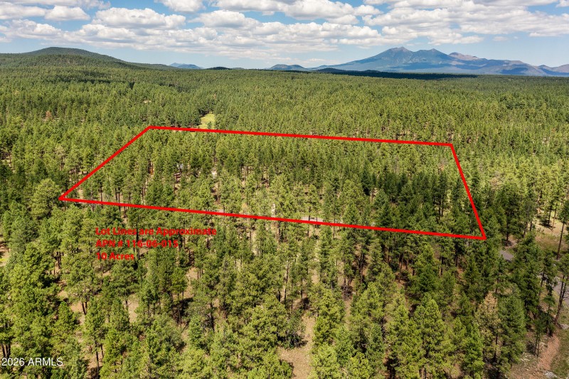 3456 Laurie Ln. 11606015 Vacant Lot-12