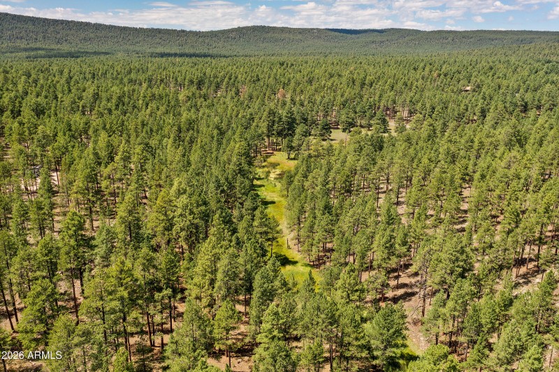 3456 Laurie Ln. 11606015 Vacant Lot-13