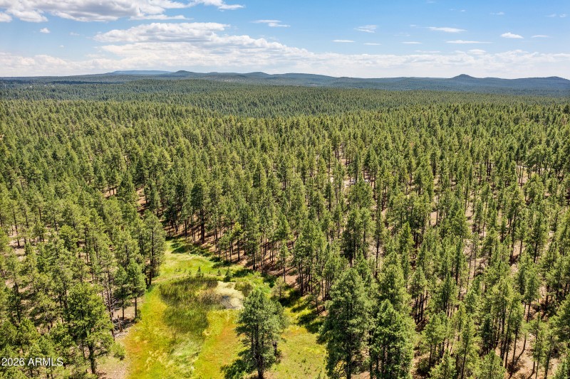 3456 Laurie Ln. 11606015 Vacant Lot-16