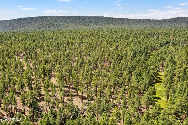 3456 Laurie Ln. 11606015 Vacant Lot-19