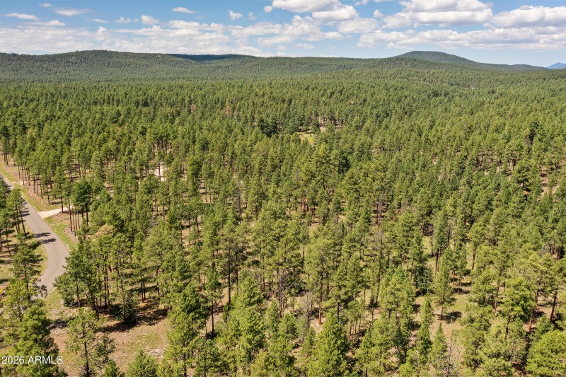 3456 Laurie Ln. 11606015 Vacant Lot-20