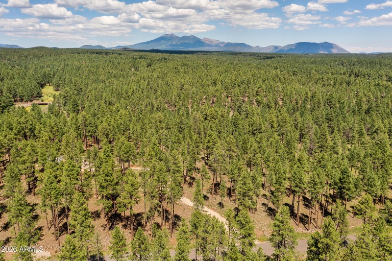 3456 Laurie Ln. 11606015 Vacant Lot-21