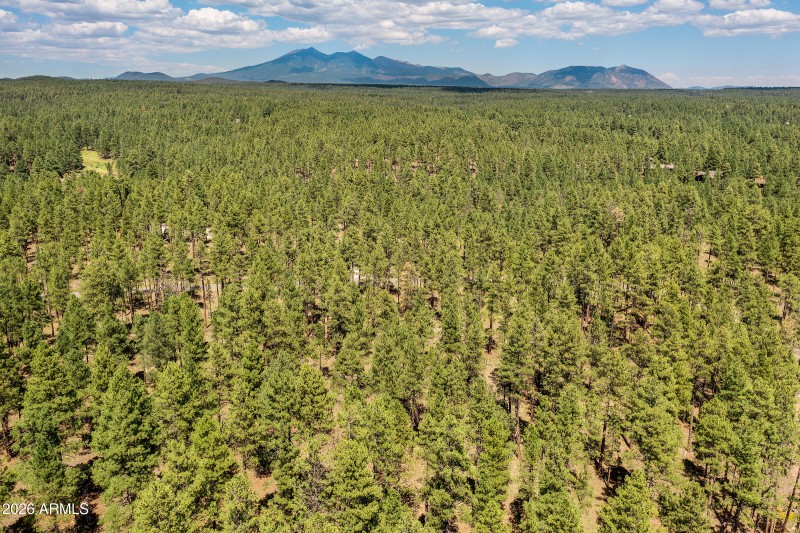 3456 Laurie Ln. 11606015 Vacant Lot-25