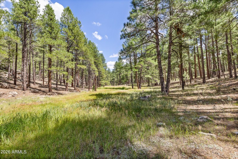 3456 Laurie Ln. 11606015 Vacant Lot-39