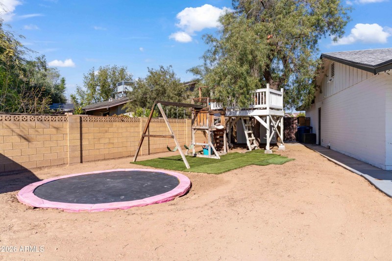 Trampoline & Tree House