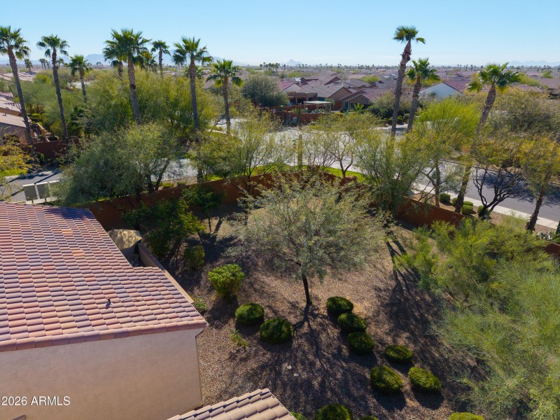 Great backyard views