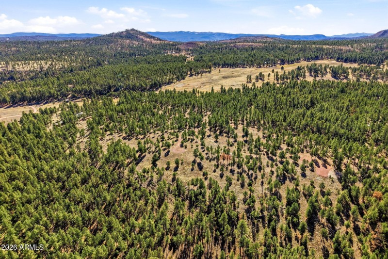 CoRdN2147-Alpine-AZ-5