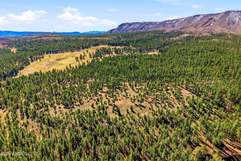 CoRdN2147-Alpine-AZ-6