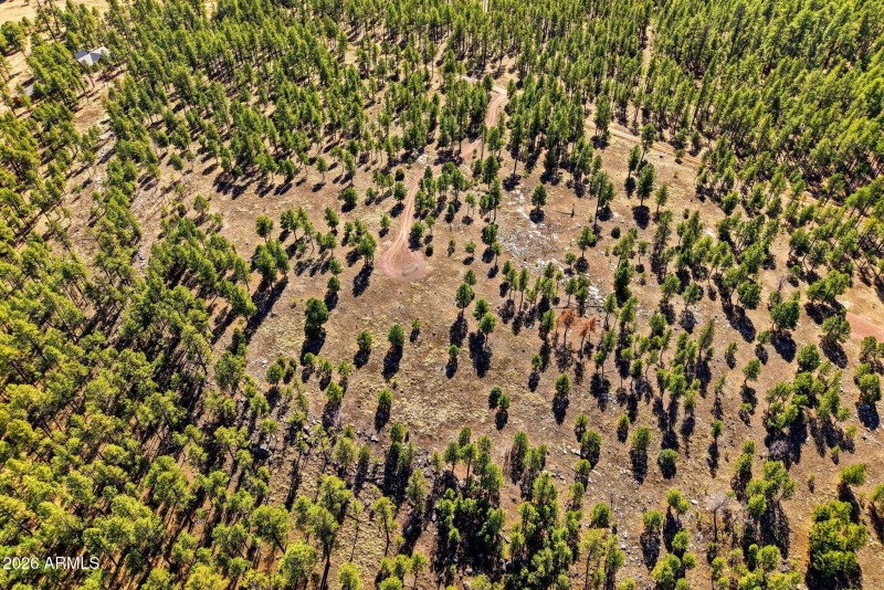 CoRdN2147-Alpine-AZ-9