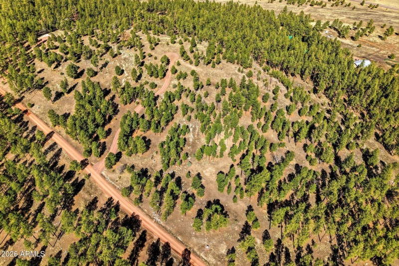 CoRdN2147-Alpine-AZ-12