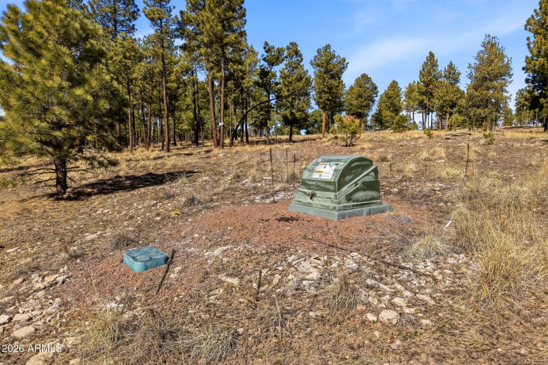 CoRdN2147-Alpine-AZ-21