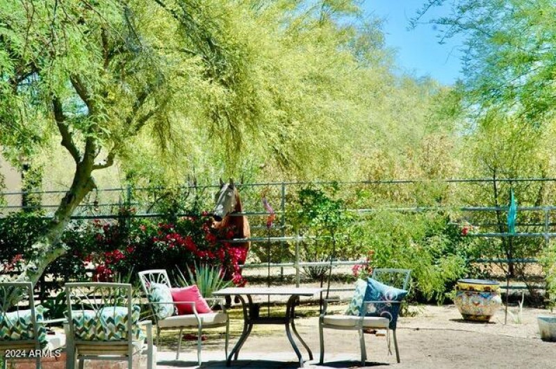 4ED200DE-7D2E-4FC9-96D9-165017E5F65E_1_2