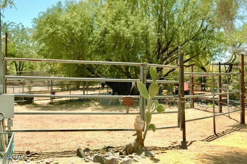 D443D271-2BB9-4DFC-A97E-F483C0CDE857_1_2