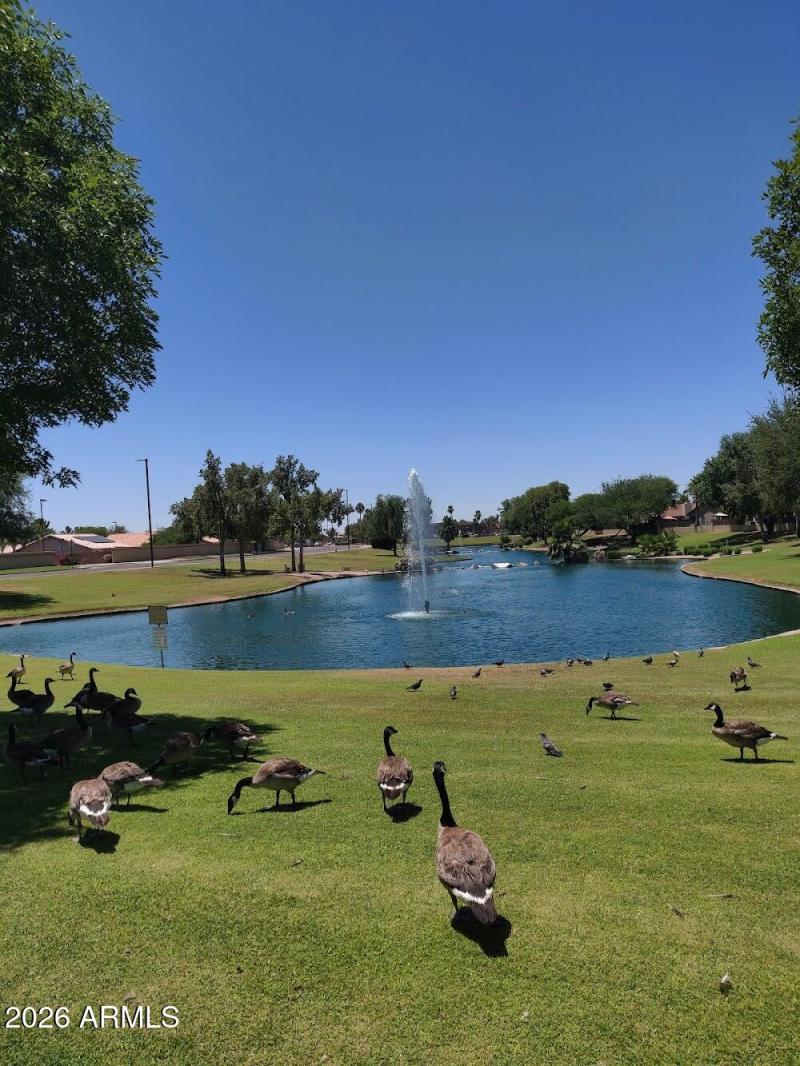 Kingswood-Parke-Home-Owner-Association-P