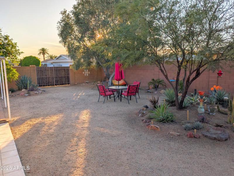 PXL_20260304_004249252