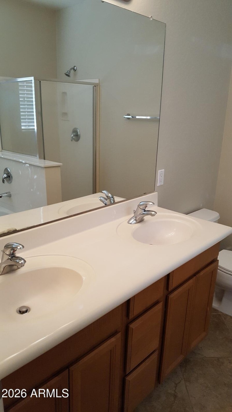 Primary Bathroom Vanity