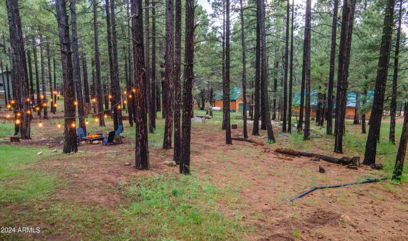 DJI_0001-Enhanced-NR-Edit