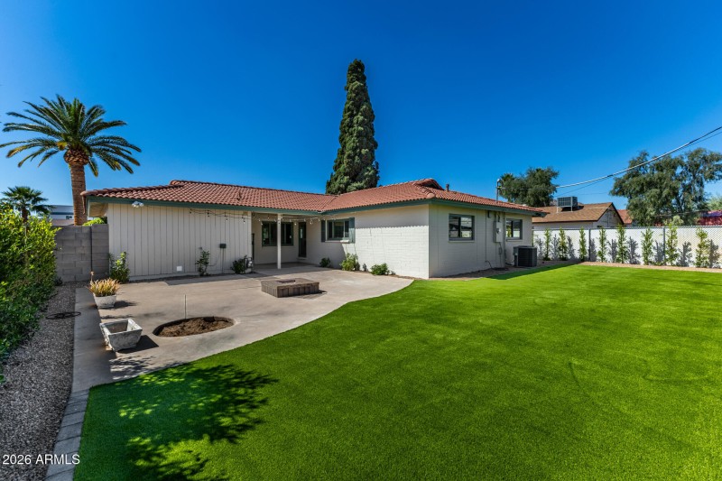 Low Maintenance Turf