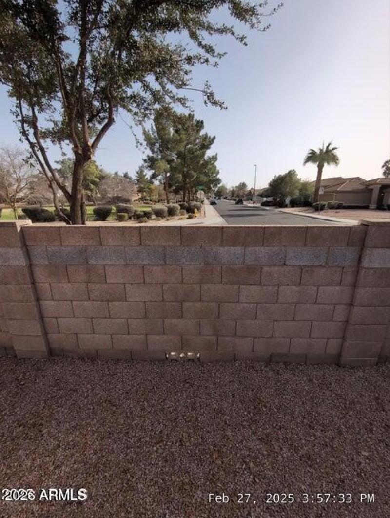 20250301004402067818000000-o