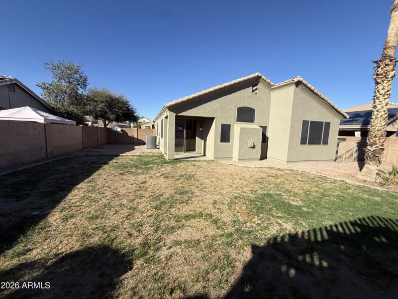 Backyard With Palm Tree