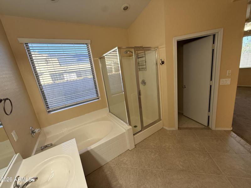 Primary Bath Tub & Shower