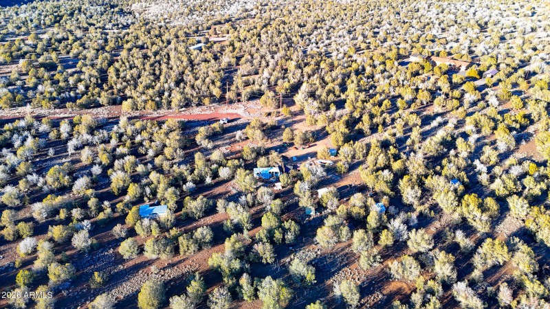 dji_fly_20260116_163708_0230_17686731277