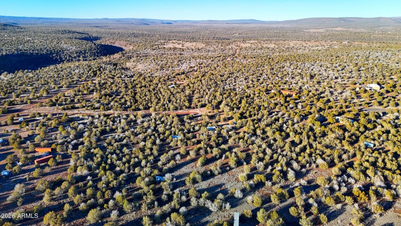 dji_fly_20260116_163734_0234_17686731260