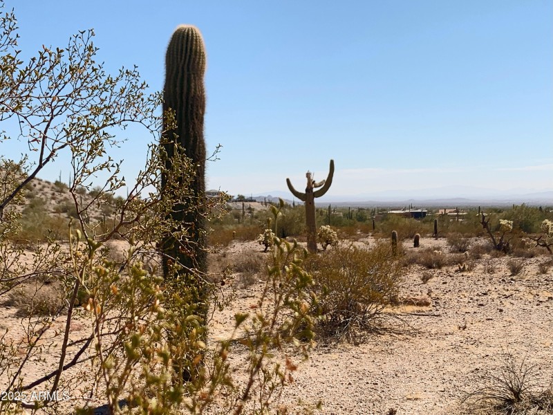 Huge 3.34 Suburban Ranch!