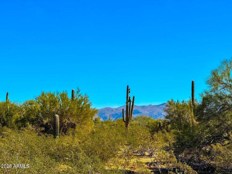 20251213031620468166000000-o (1)