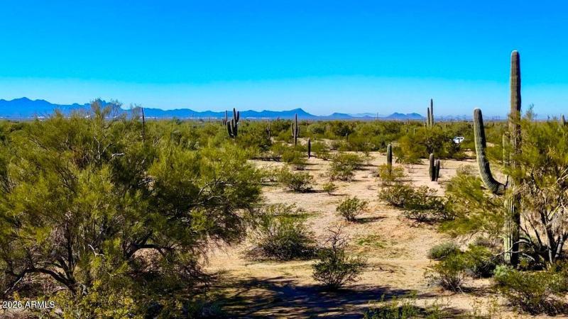 20251213032943775475000000-o (1)