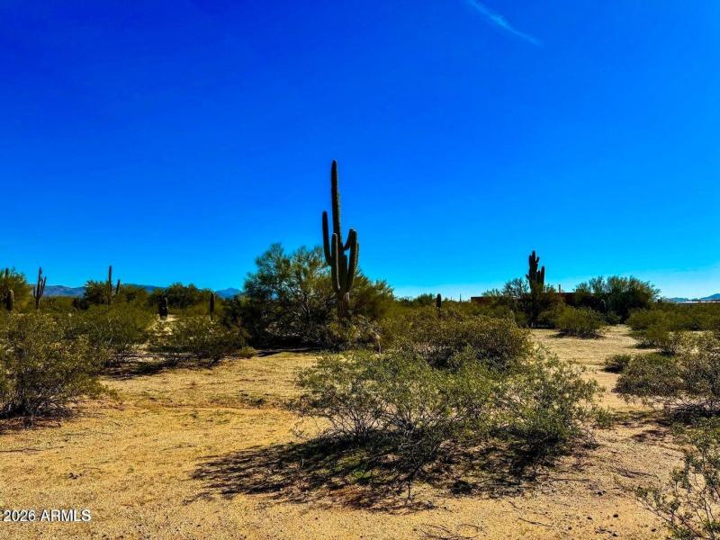 20251213033918225324000000-o (1)