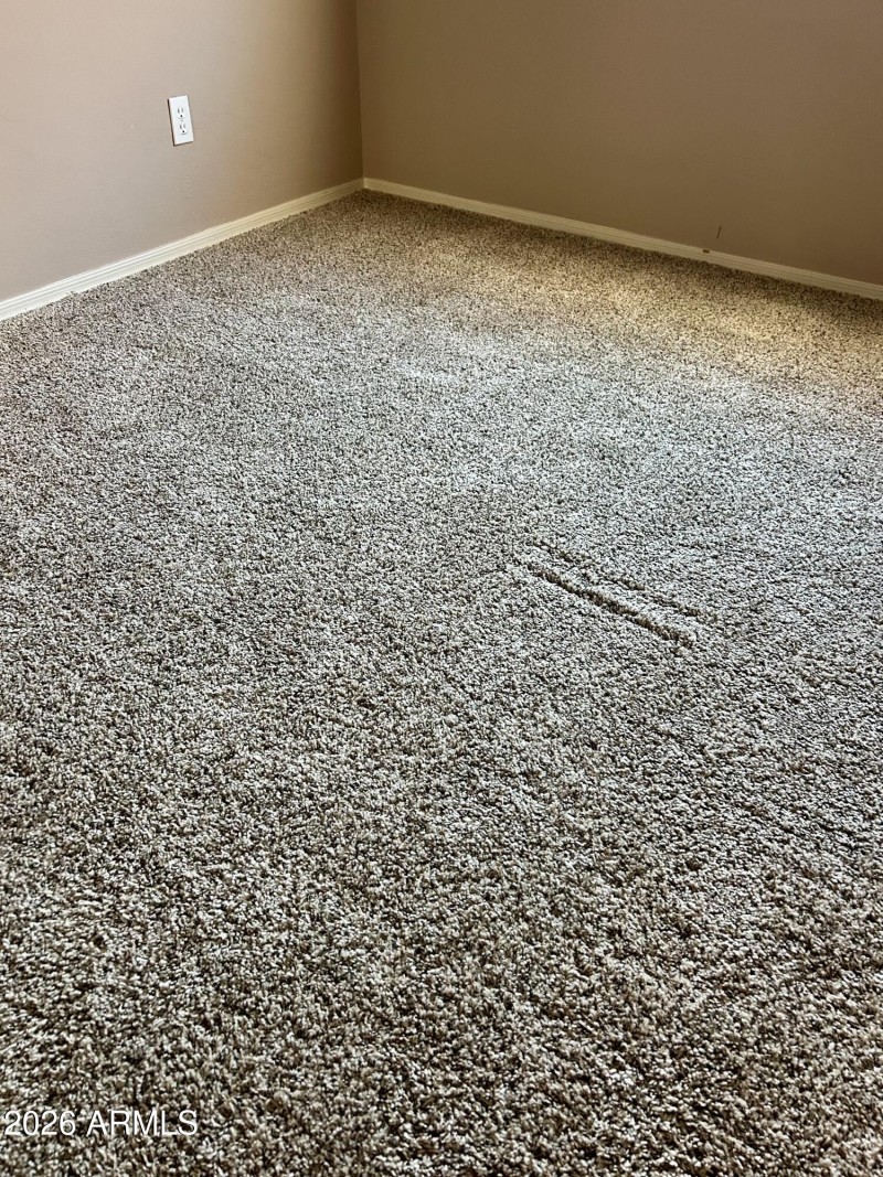 New Carpet_1616