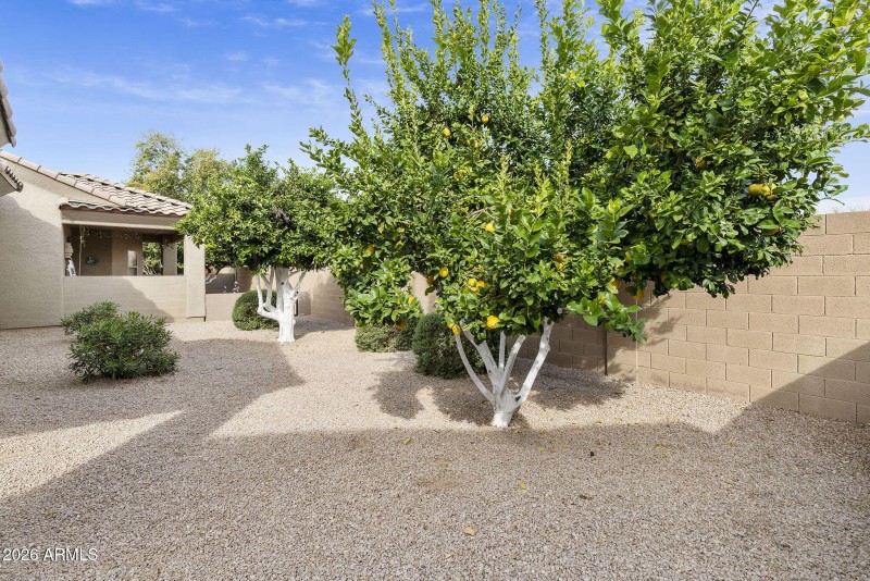 20-web-or-mls-DLB_8782