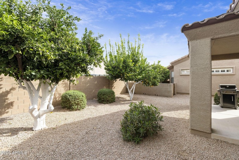 23-web-or-mls-DLB_8785