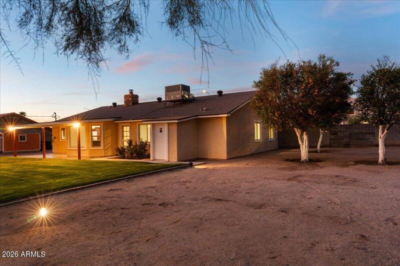 East Side Yard with Citrus Trees
