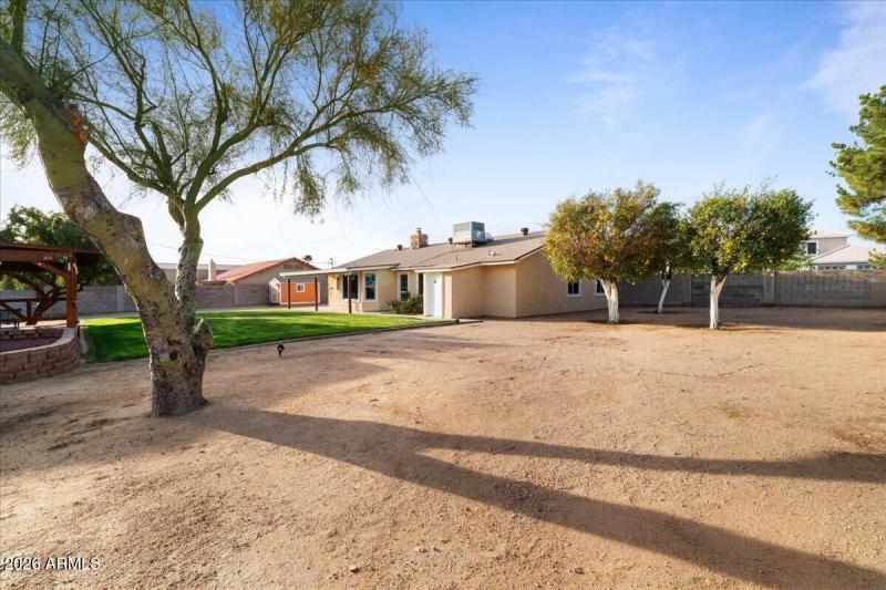 East Side Yard with Citrus Trees